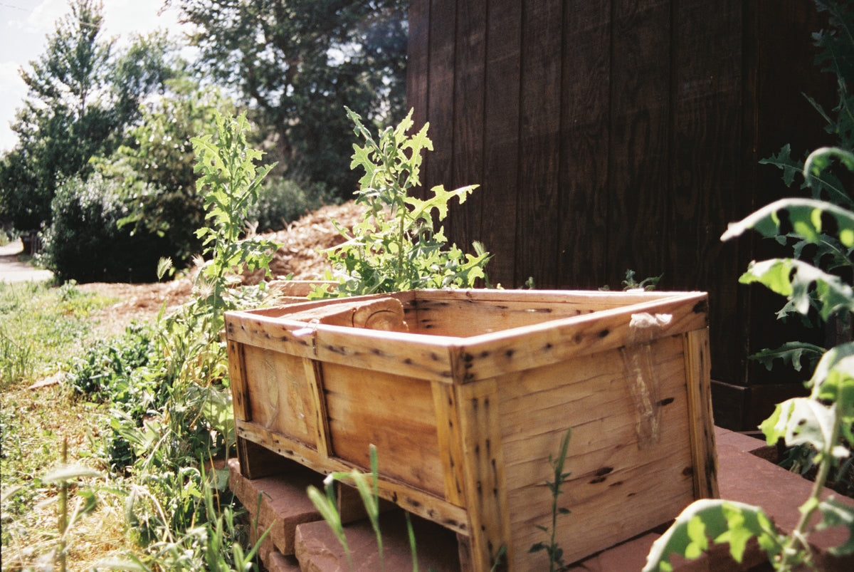 CineStill 400D Dynamic Color Negative Film (35mm Roll Film, 36 Exposures) - Victory Camera