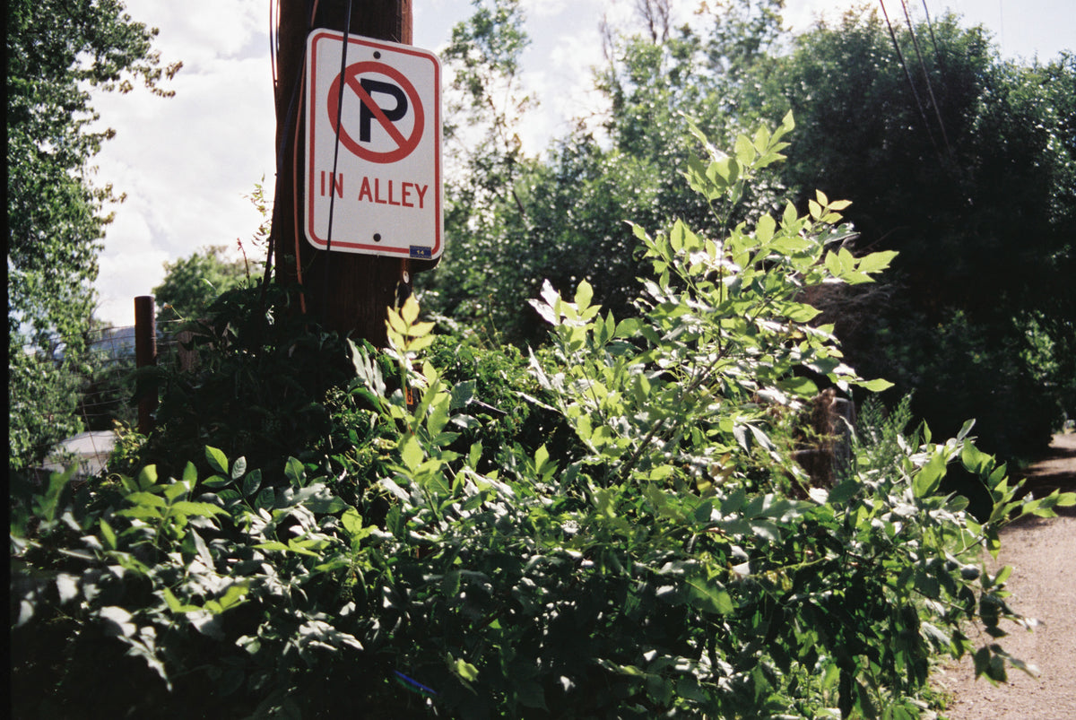 CineStill 400D Dynamic Color Negative Film (35mm Roll Film, 36 Exposures) - Victory Camera