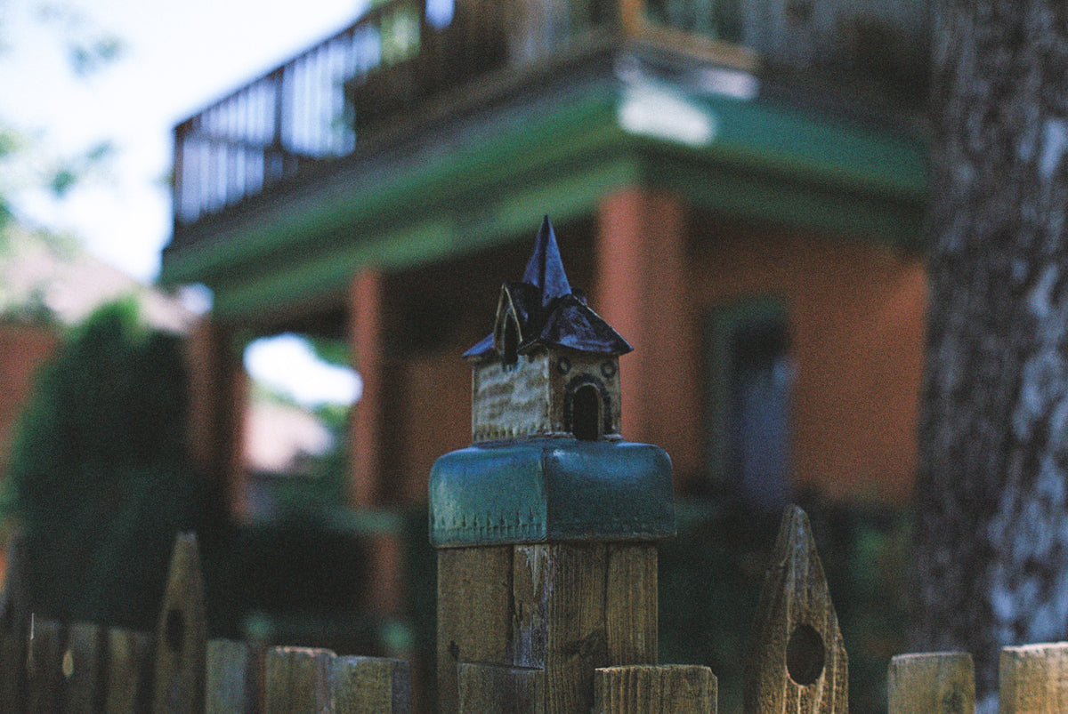 Flic Film Aurora 400 Color Negative Film (35mm Roll Film, 36 Exposures) - Victory Camera