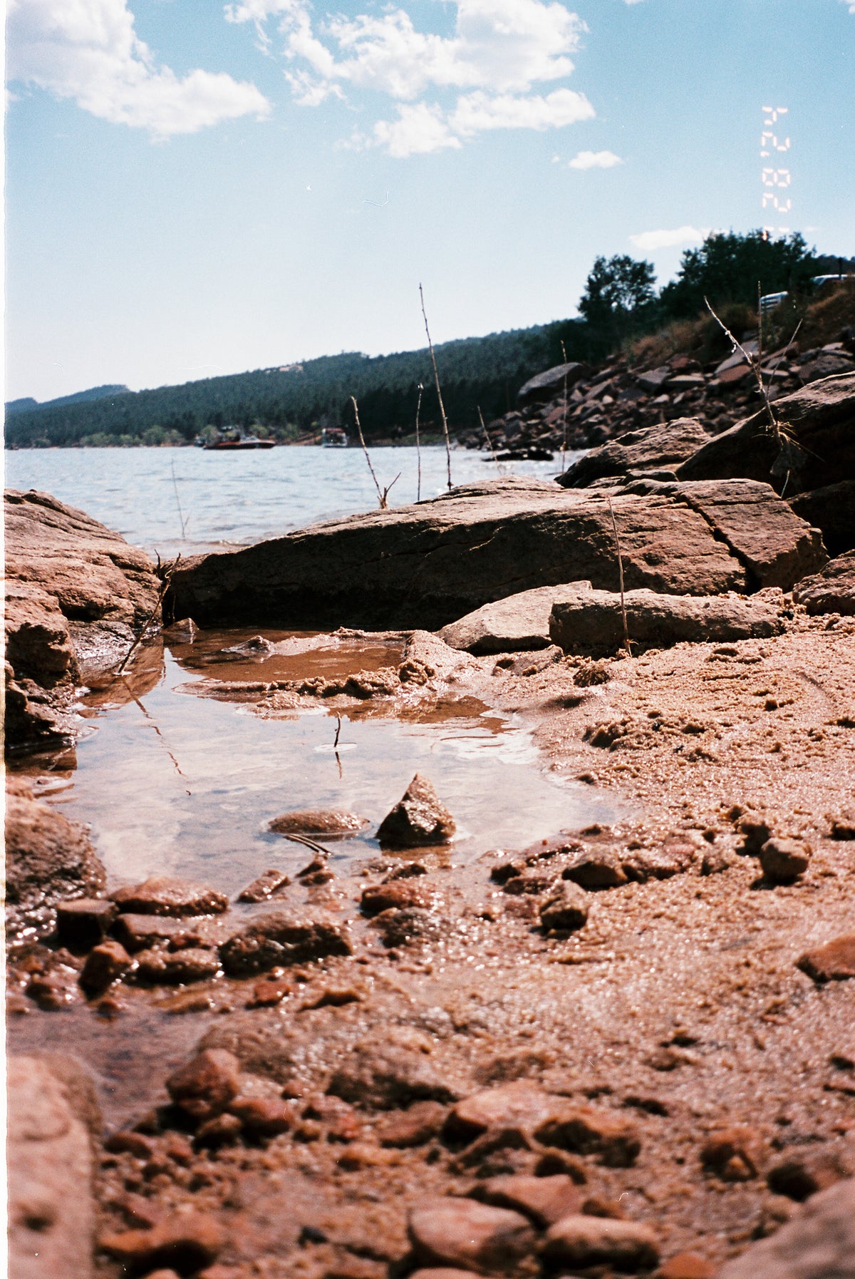 Flic Film Elektra 100 (35mm Roll Film, 36 Exposures) - Victory Camera