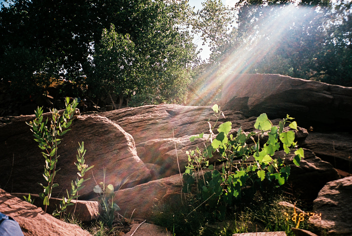 Flic Film Elektra 100 (35mm Roll Film, 36 Exposures) - Victory Camera