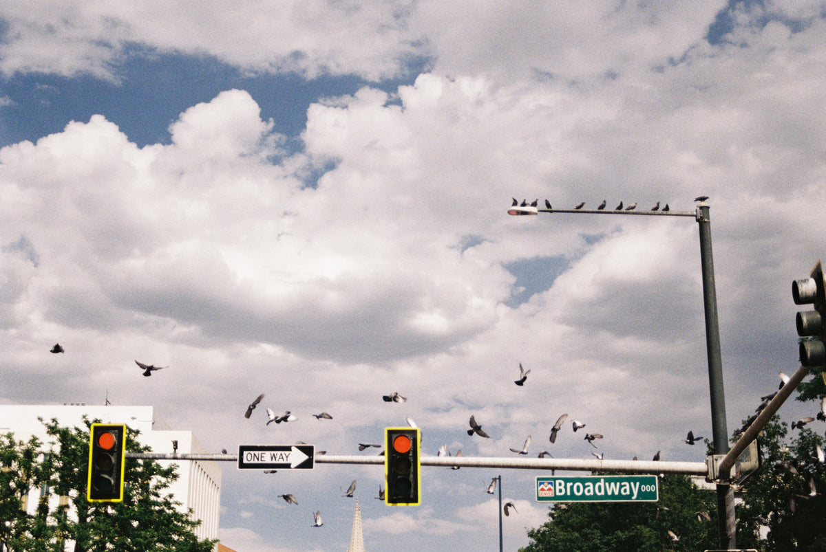 Kodak ColorPlus 200 Color Negative Film (35mm Roll Film, 36 Exposures) - Victory Camera