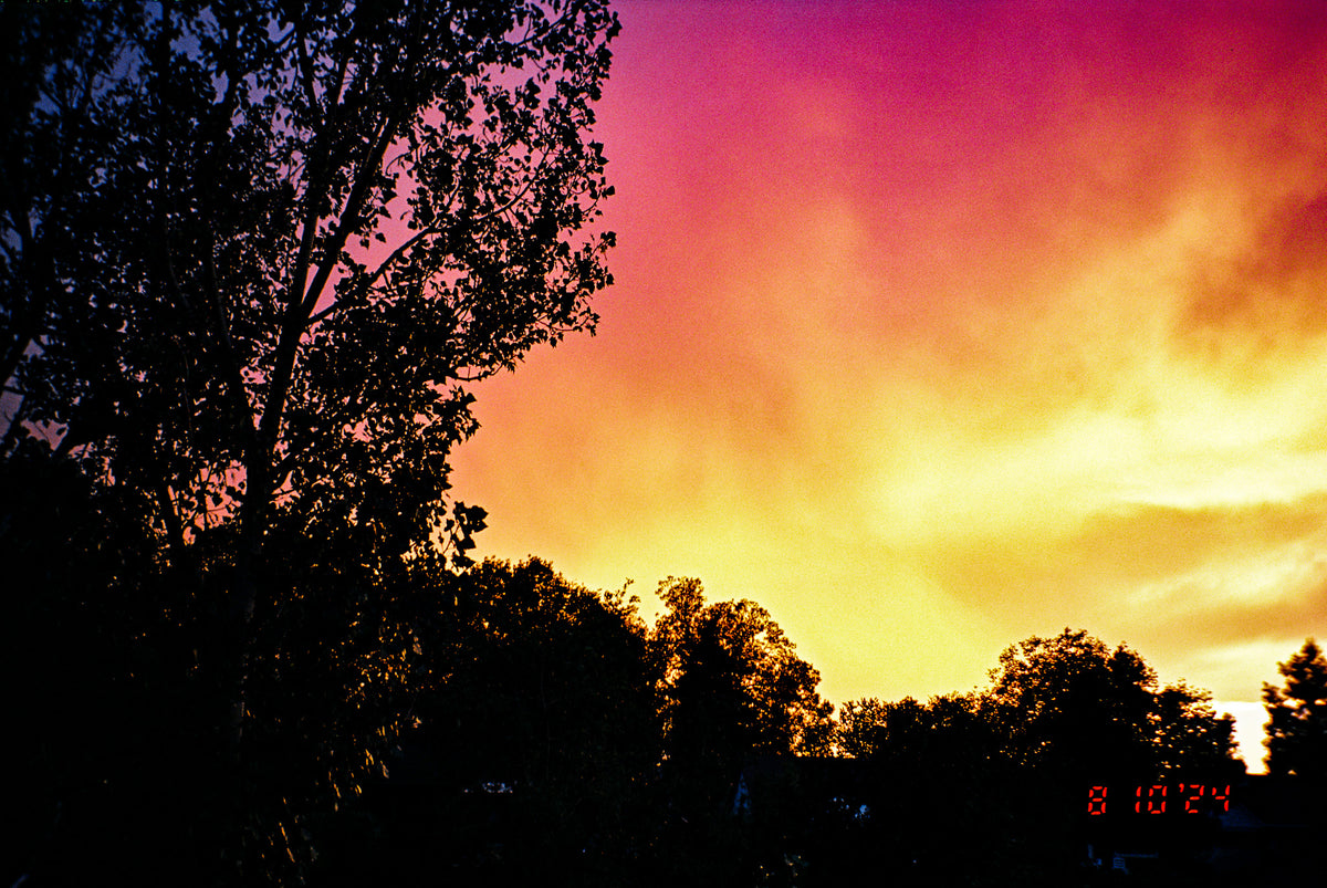 Kodak Professional Ektar 100 Color Negative Film One Roll 35mm, 36 Exposures - Victory Camera