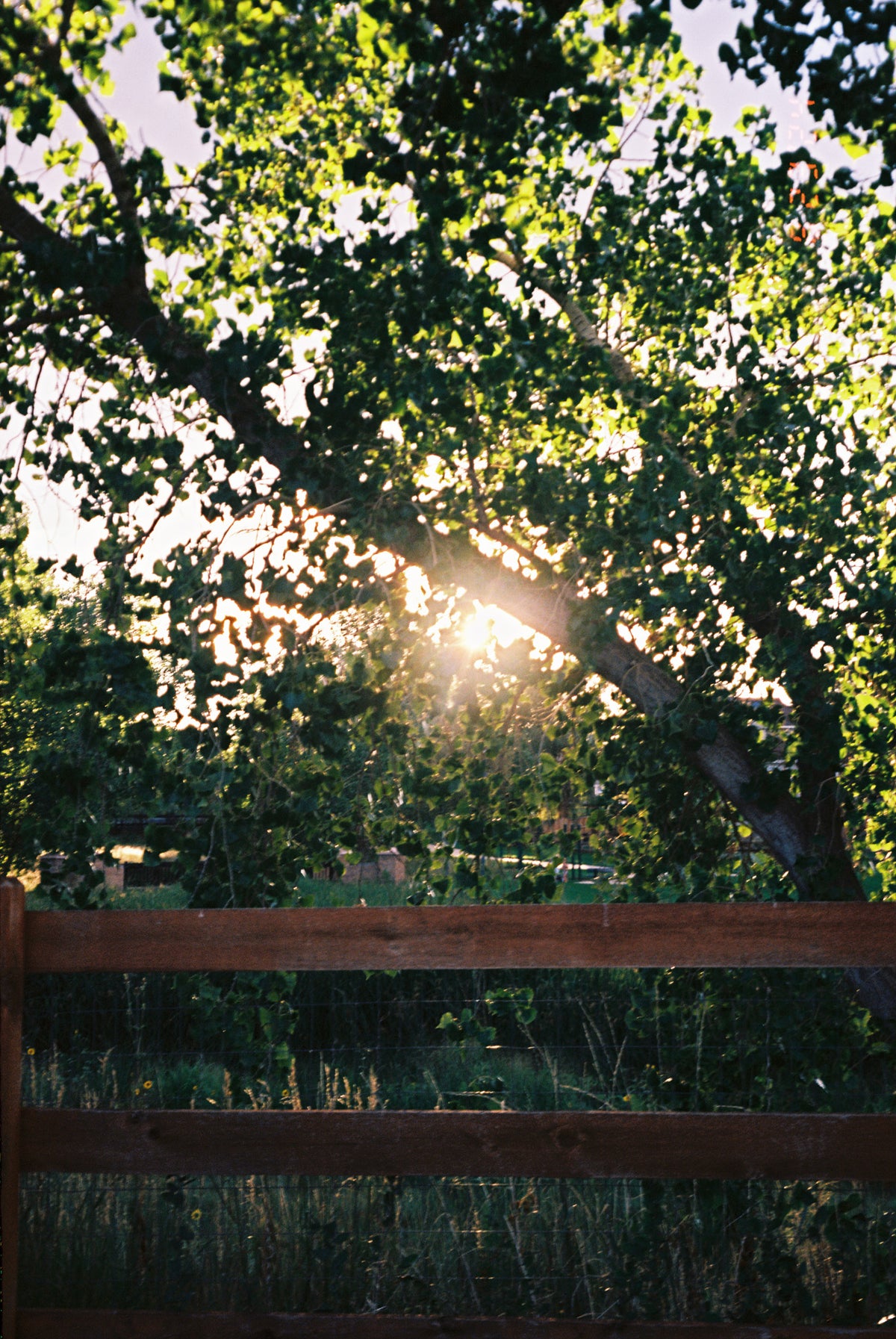 Kodak Professional Ektar 100 Color Negative Film One Roll 35mm, 36 Exposures - Victory Camera