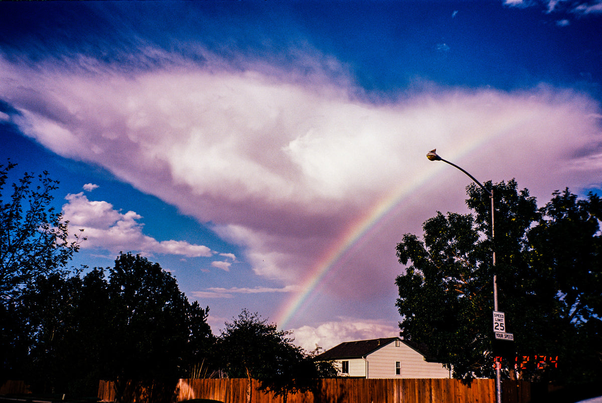 Kodak Professional Ektar 100 Color Negative Film One Roll 35mm, 36 Exposures - Victory Camera