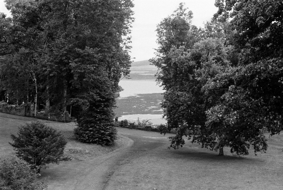 Kentmere PAN 400 Black & White Negative Film (35mm, 36 Exposures) - Victory Camera