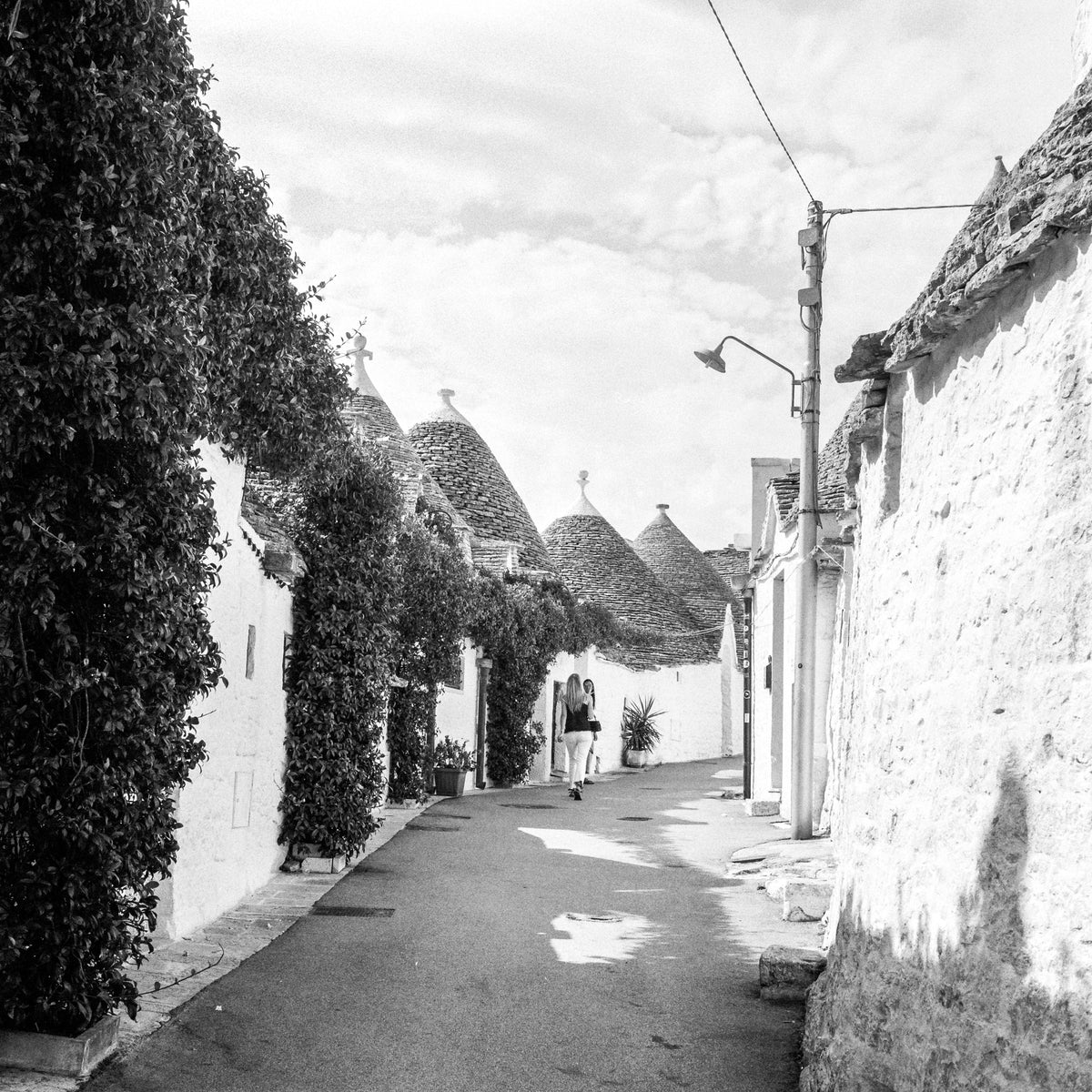 Kentmere PAN 400 Black & White Negative Film (120) - Victory Camera