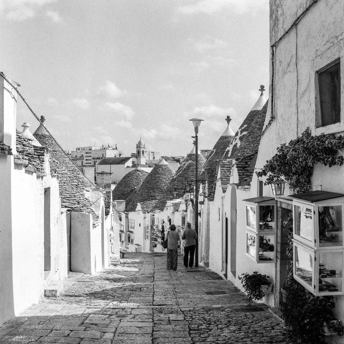 Kentmere PAN 400 Black & White Negative Film (120) - Victory Camera