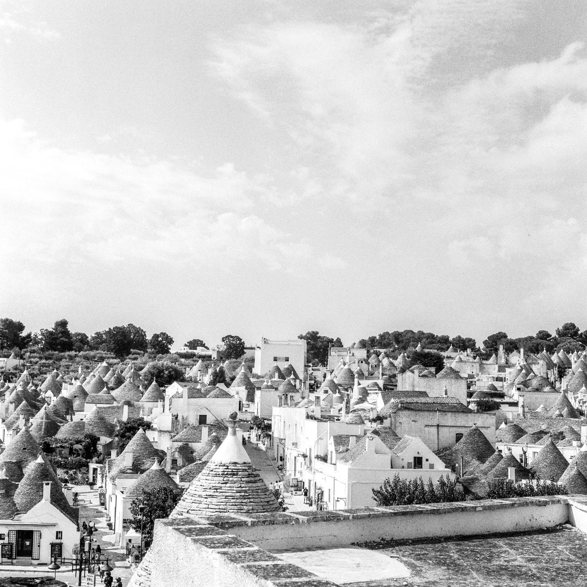 Kentmere PAN 400 Black & White Negative Film (120) - Victory Camera