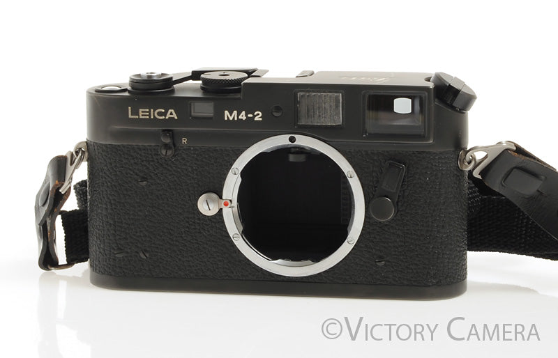 Leica M4-2 Black 35mm Rangefinder Camera [EXC+] - Victory Camera