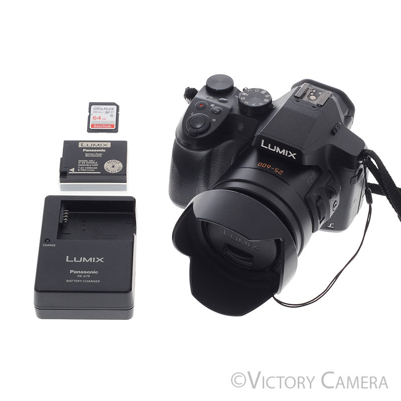 Panasonic Lumix DMC-FZ300 12.1MP Digital Point & Shoot Camera  [EXC-] - Victory Camera