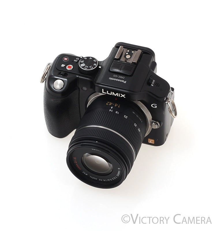 Panasonic Lumix DMC-G5 Mirrorless 16MP Camera w/ 14-42mm Lens [EXC] - Victory Camera