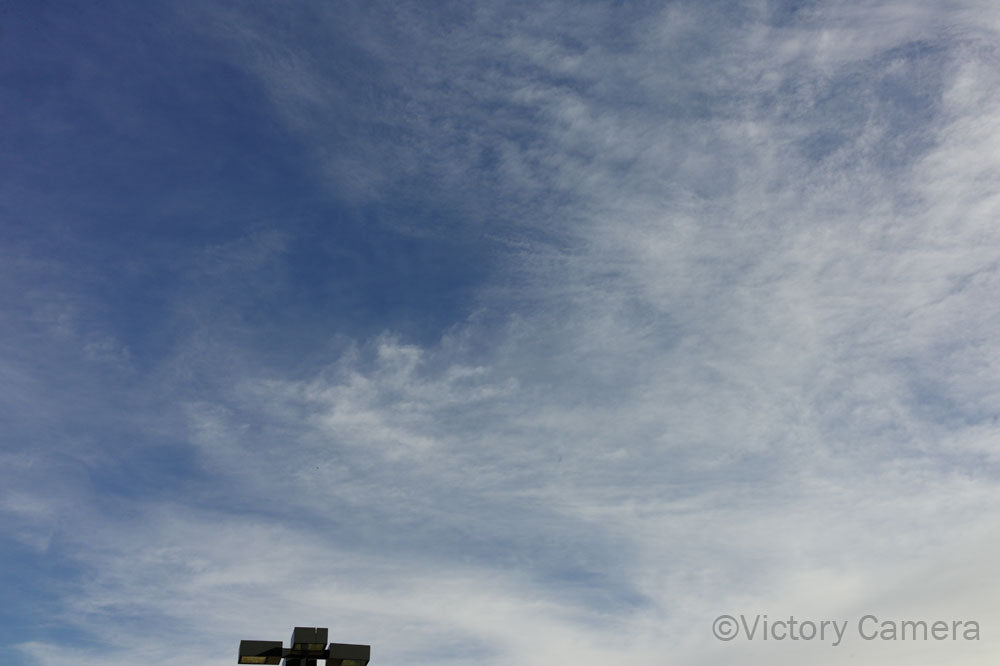 Leica M9 18MP Black Digital Camera  [EXC] - Victory Camera