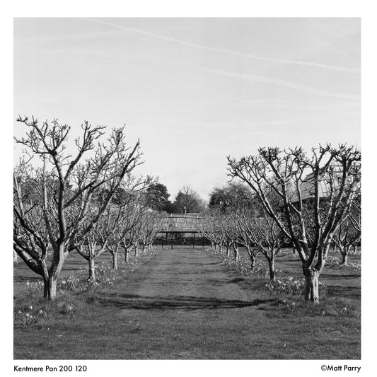 Kentmere PAN 200 Black & White Negative Film (120) - Victory Camera