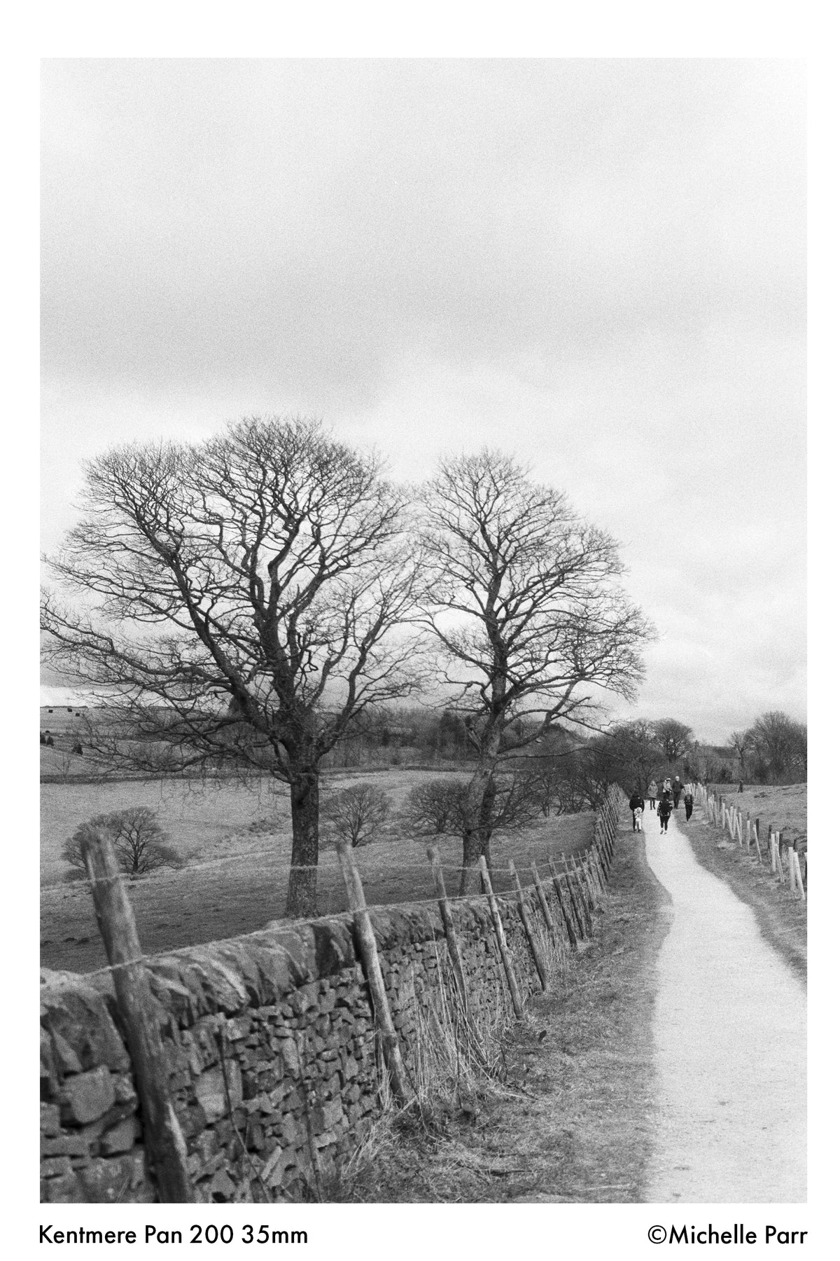 Kentmere PAN 200 Black & White Negative Film (35mm, 36 Exposures) - Victory Camera