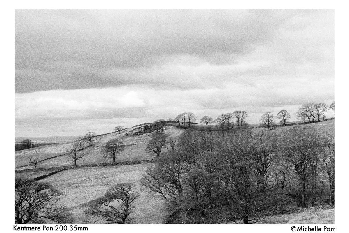 Kentmere PAN 200 Black & White Negative Film (35mm, 36 Exposures) - Victory Camera