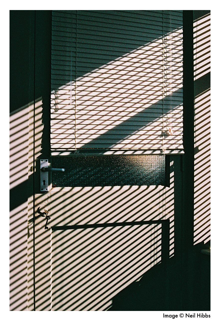 HARMAN technology Phoenix 125 Color Negative Film (35mm, 36 Exposures)