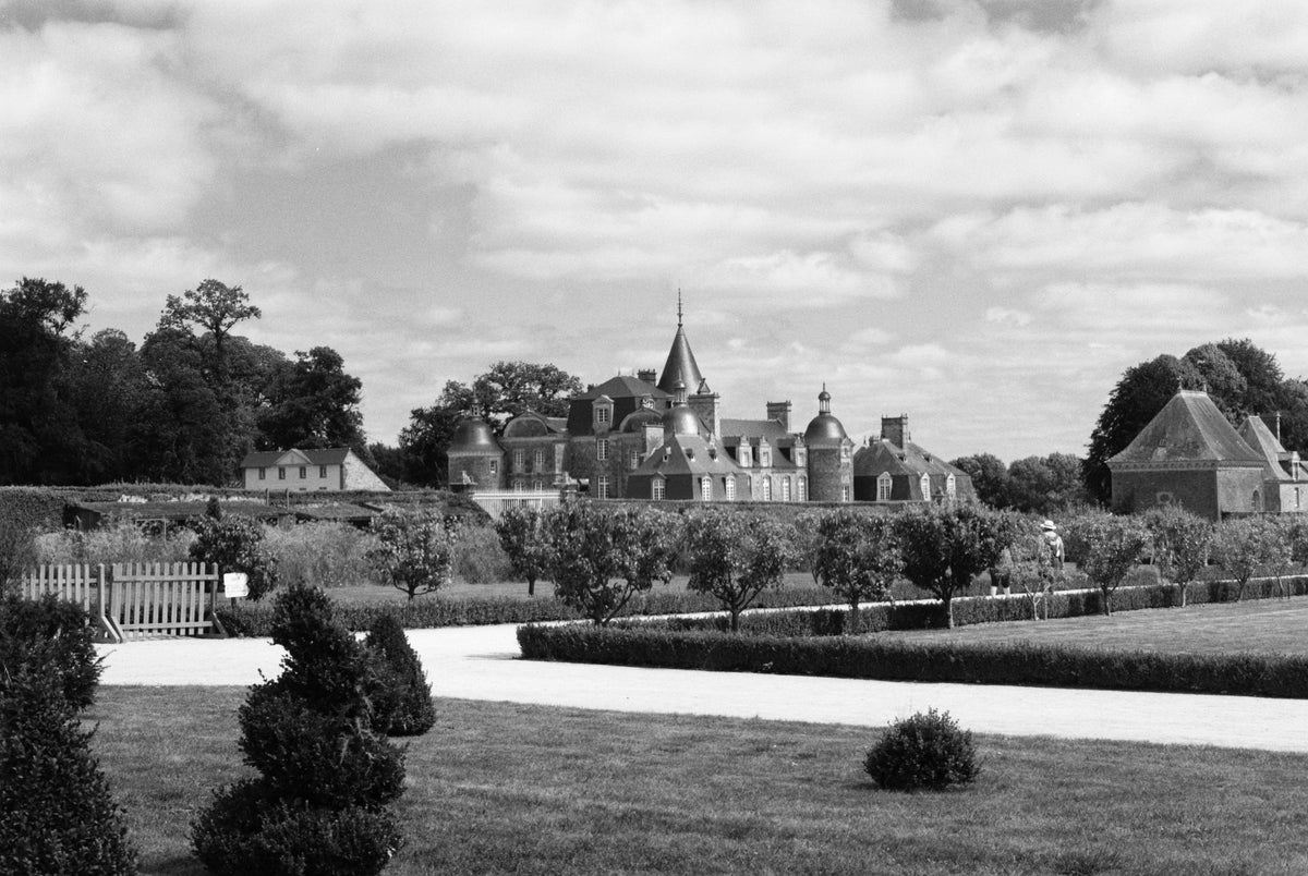 Ilford PAN F PLUS 50 Black & White Negative Film (35mm, 36 Exposures) - Victory Camera