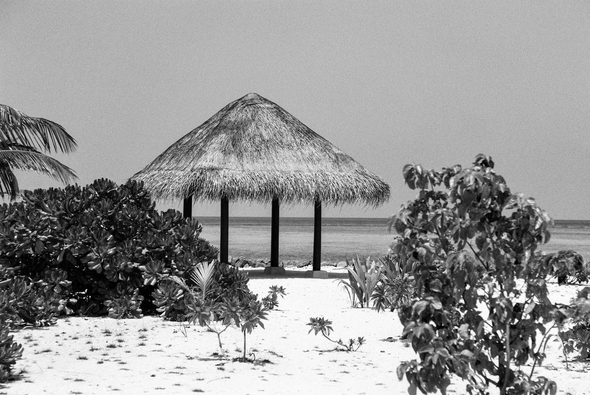 Ilford PAN F PLUS 50 Black & White Negative Film (35mm, 36 Exposures) - Victory Camera