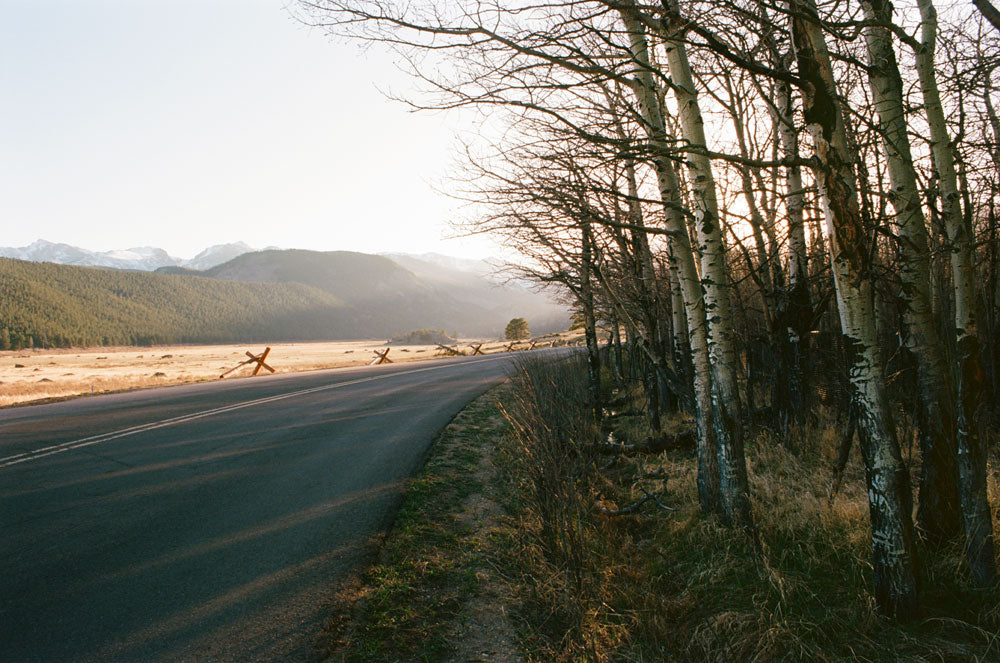 Kodak Professional Ektar 100 Color Negative Film One Roll 35mm, 36 Exposures - Victory Camera