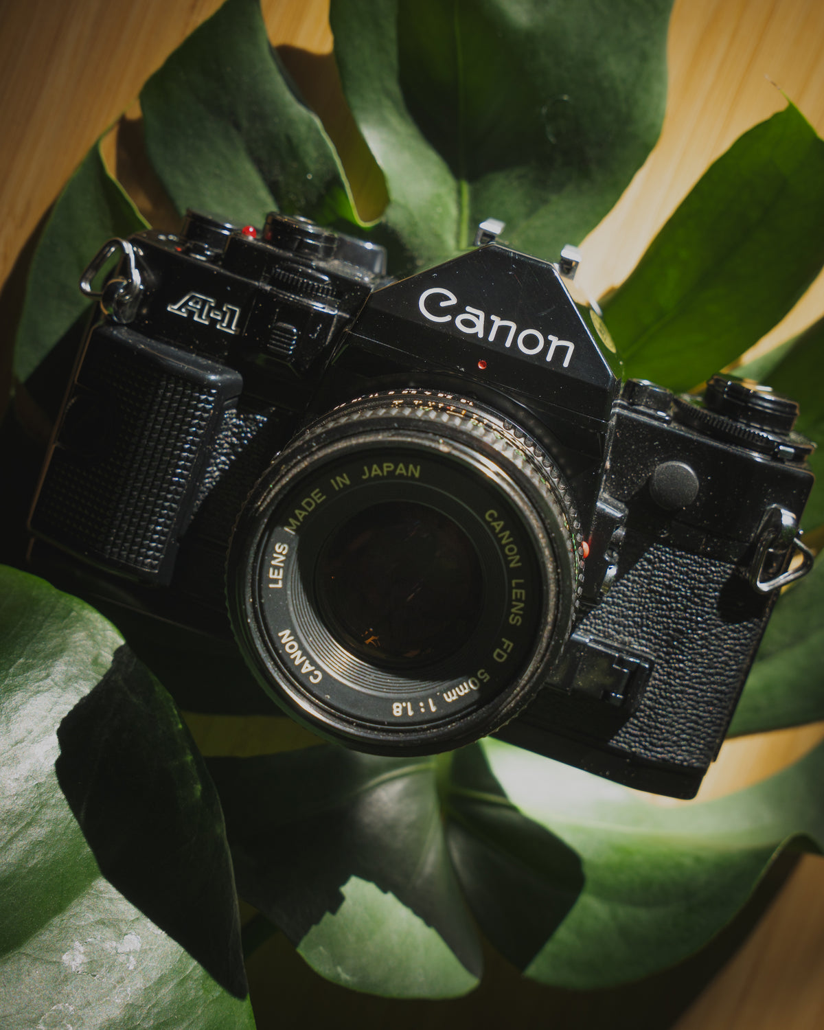 Canon A-1 A1 Black 35mm Film SLR Camera w/ 50mm f1.8 Lens [EXC] - Victory Camera
