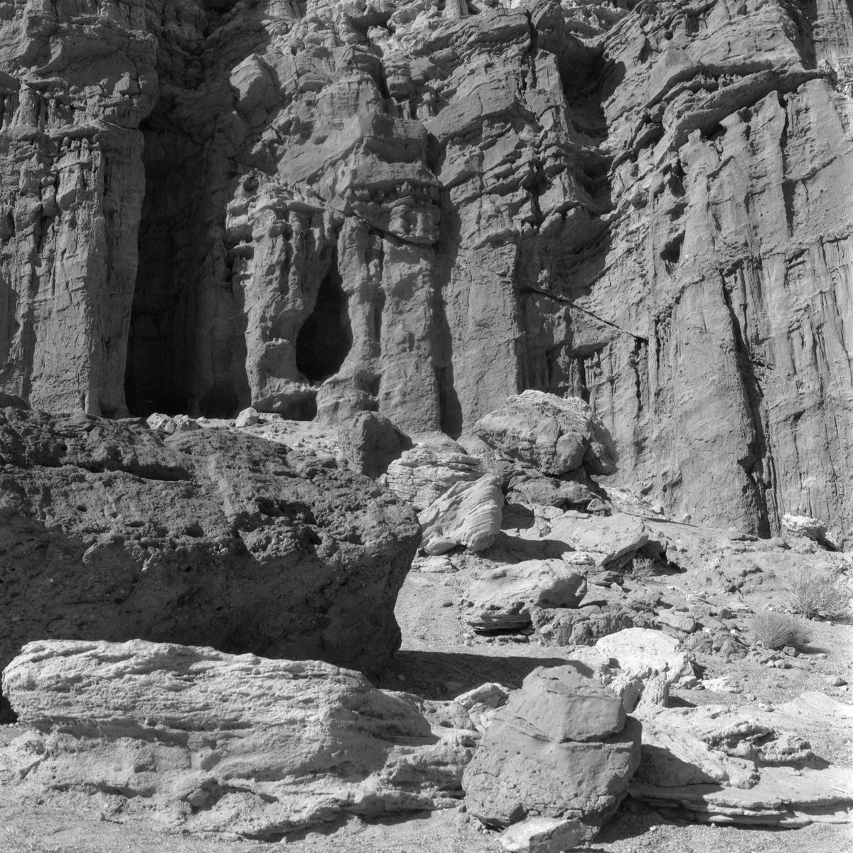 Ilford SFX 200 Black & White Negative Film (35mm, 36 Exposures) - Victory Camera