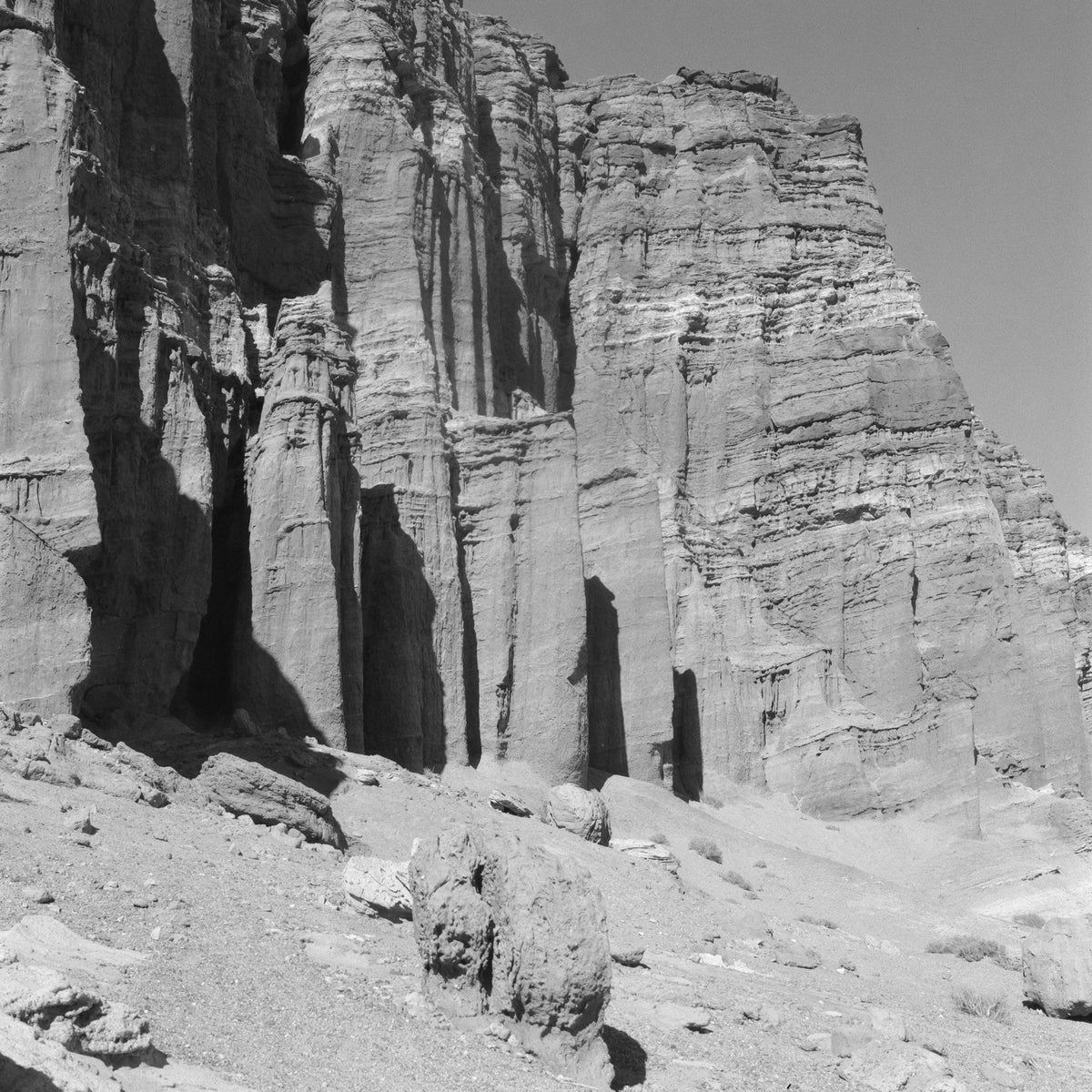 Ilford SFX 200 Black & White Negative Film (35mm, 36 Exposures) - Victory Camera