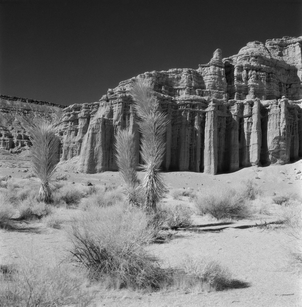 Ilford SFX 200 Black & White Negative Film (35mm, 36 Exposures) - Victory Camera