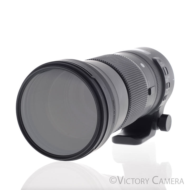 Sigma DG OS HSM 150-600mm f5-6.5 Contemporary Zoom Lens for Nikon AF-S [EXC+] - Victory Camera