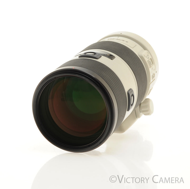 SONY 70-200mm F2.8 G SAL70200Ｇ SONY 70-200mm F2.8 G SAL70200G 27242694309| eBay