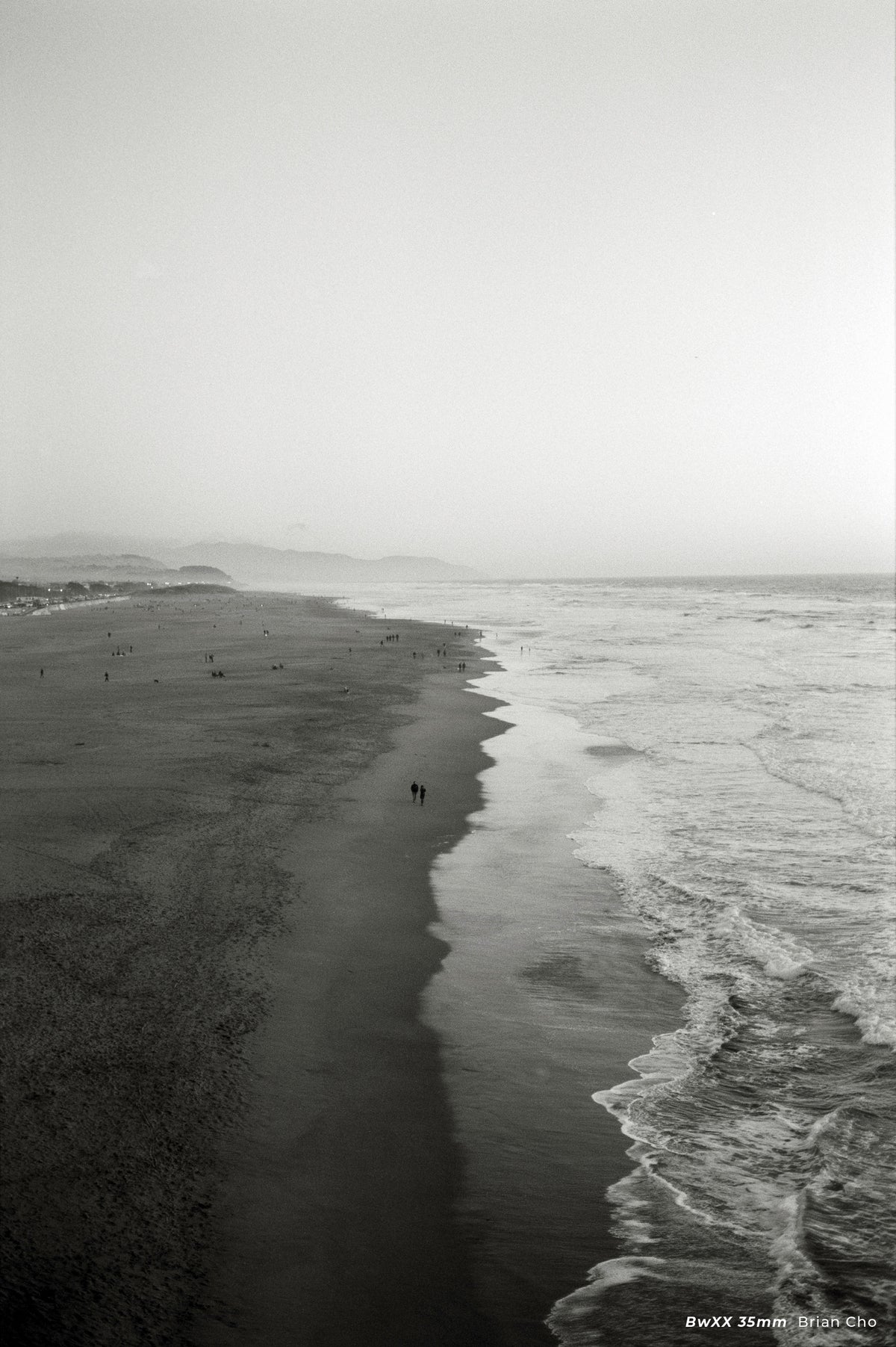 CineStill BW XX Black & White Negative Film (35mm, 36 Exposures) - Victory Camera