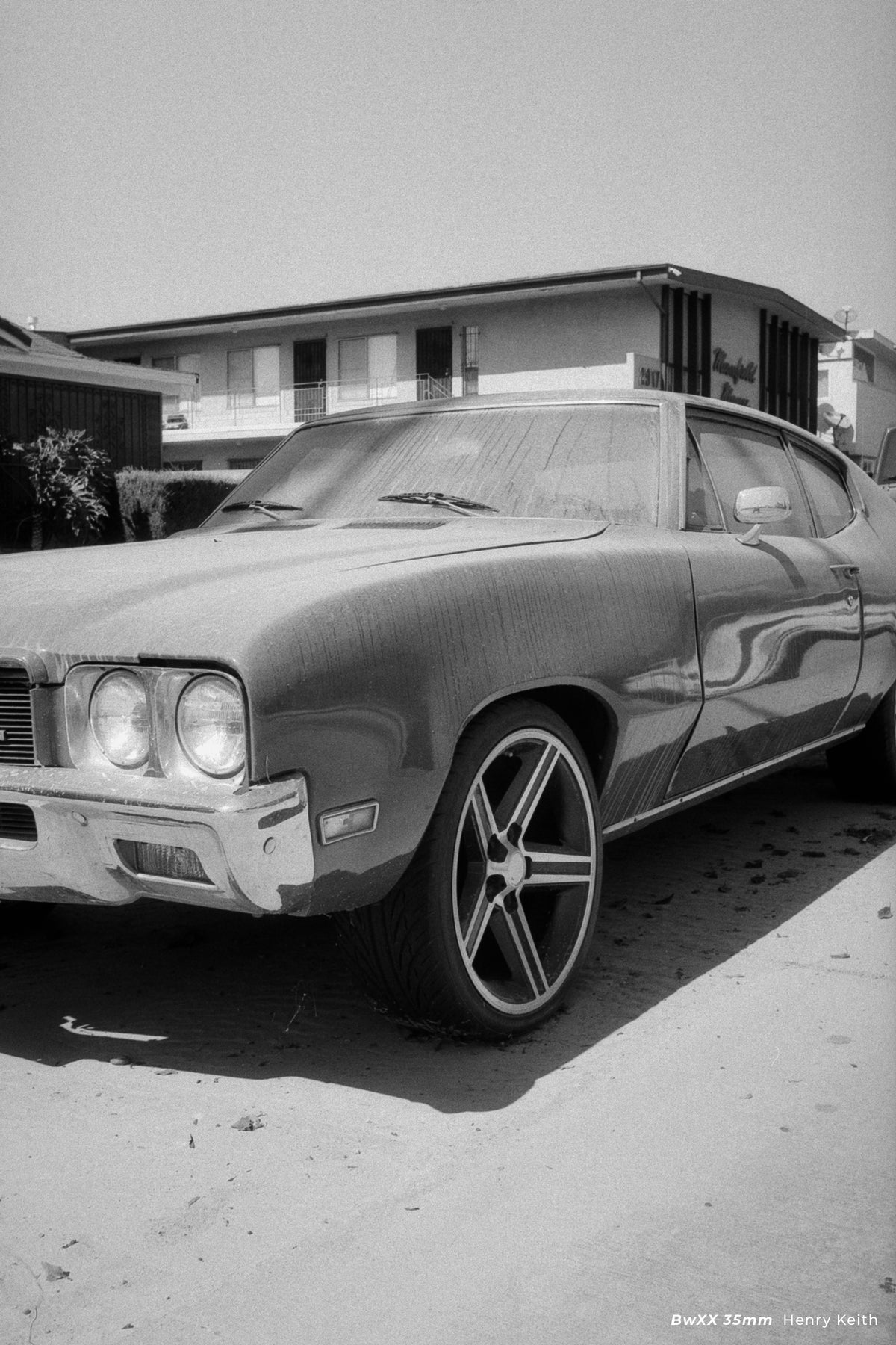 CineStill BW XX Black & White Negative Film (35mm, 36 Exposures) - Victory Camera