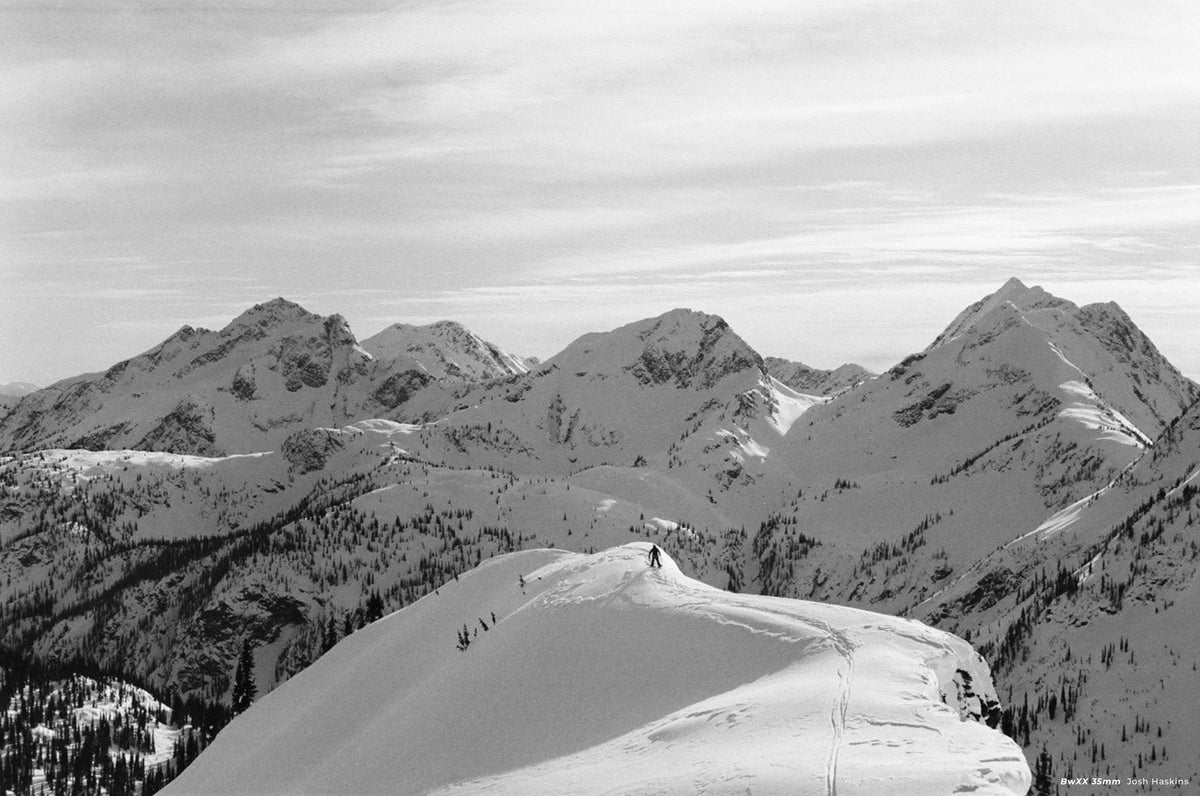 CineStill BW XX Black & White Negative Film (35mm, 36 Exposures) - Victory Camera