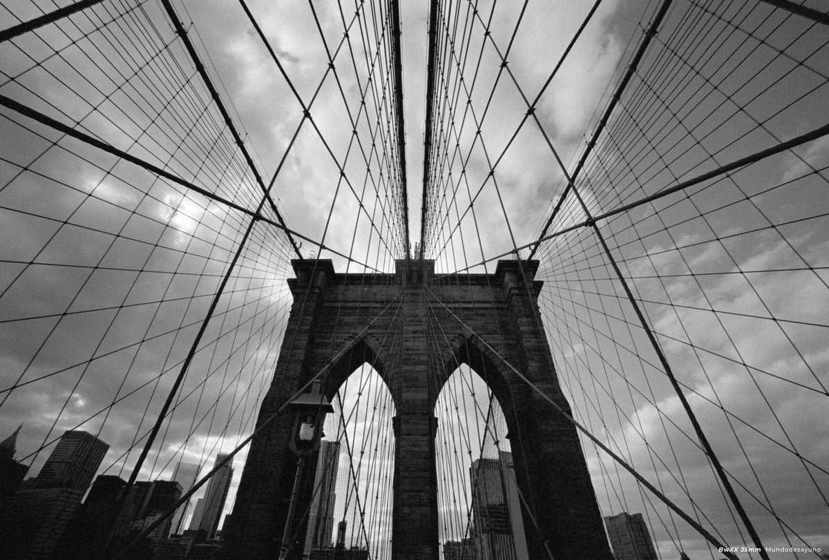 CineStill BW XX Black & White Negative Film (35mm, 36 Exposures) - Victory Camera