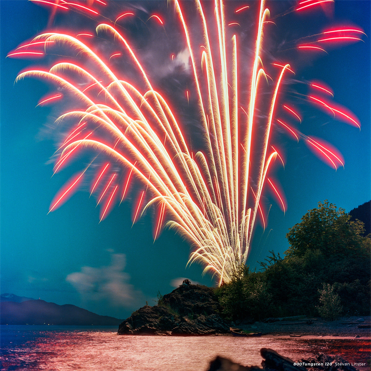 CineStill 800T Tungsten Color Negative Film (120) - Victory Camera