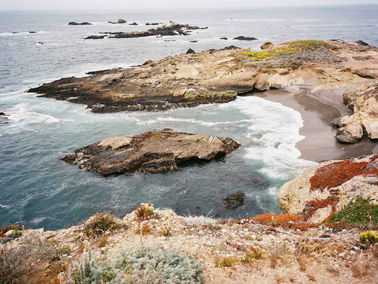 Kodak EKTACOLOR PRO 160 Color Negative Film (35mm, 36 Exposures)