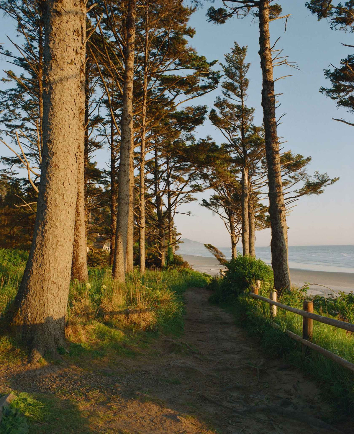 KODAK EKTACOLOR PRO 800 Color Negative Film (35mm, 36 Exposures)