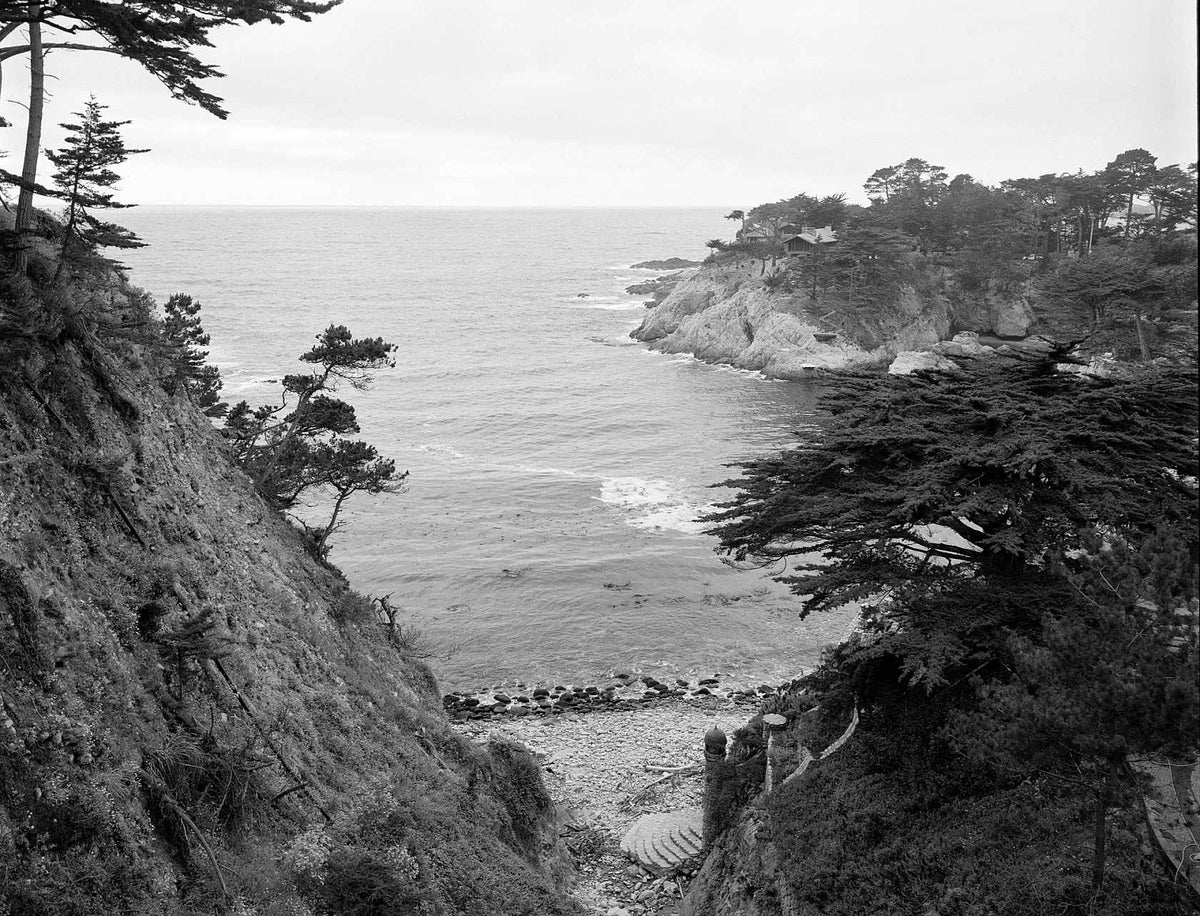 Kodak EKTAPAN 400 Black & White Negative Film (35mm, 36 Exposures)