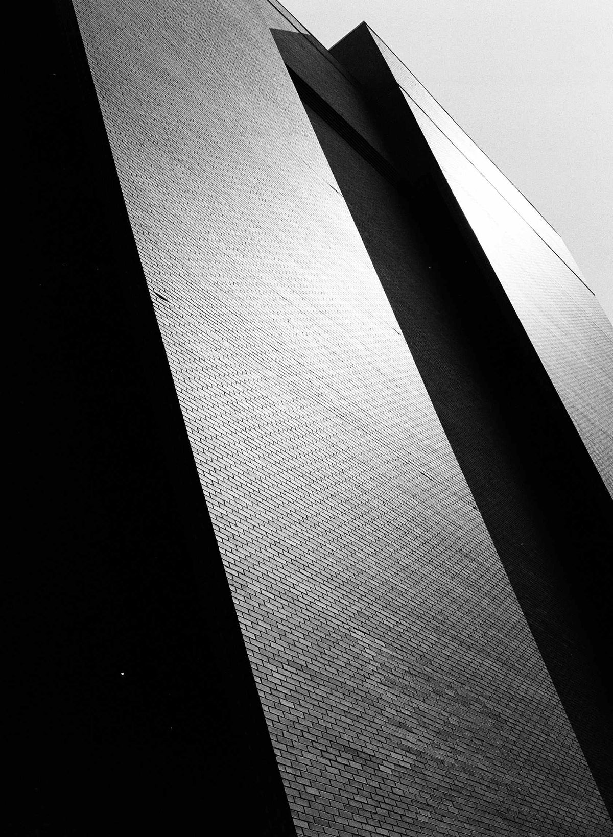 Kodak TRI-X 400 Black & White Negative Film (35mm, 36 Exposures) - Victory Camera