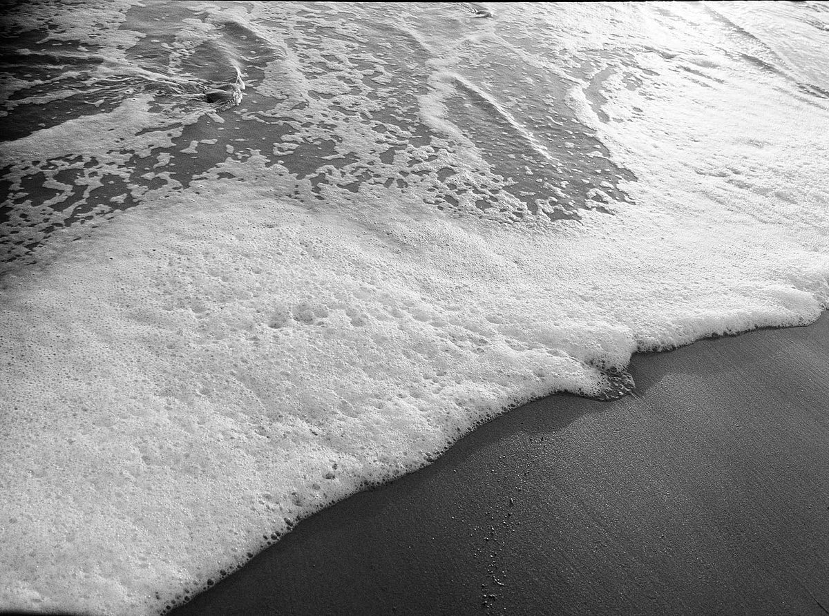 Kodak TRI-X 400 Black & White Negative Film (35mm, 36 Exposures) - Victory Camera