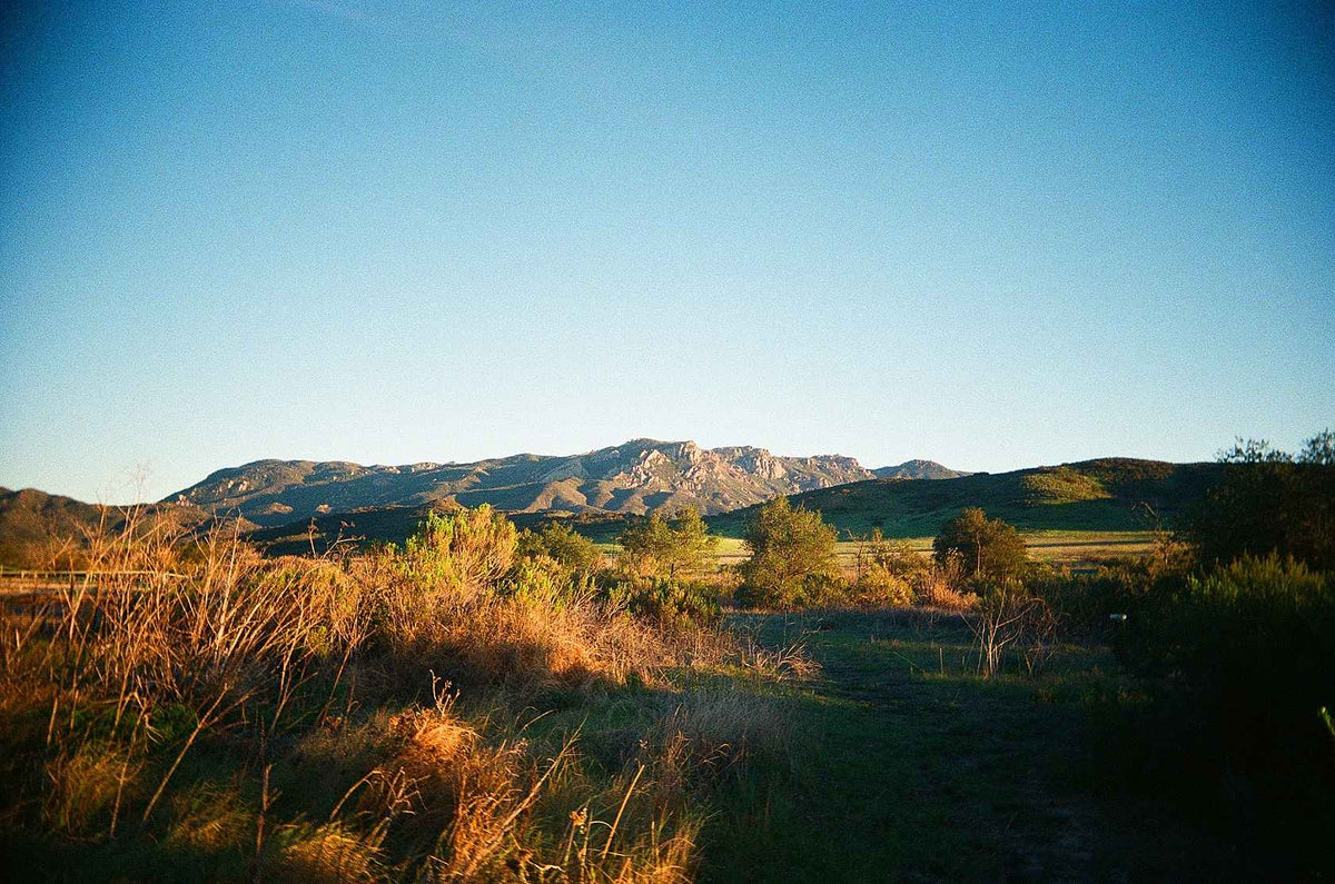 Kodak ULTRAMAX 400 Color Negative Film (35mm, 36 Exposures)
