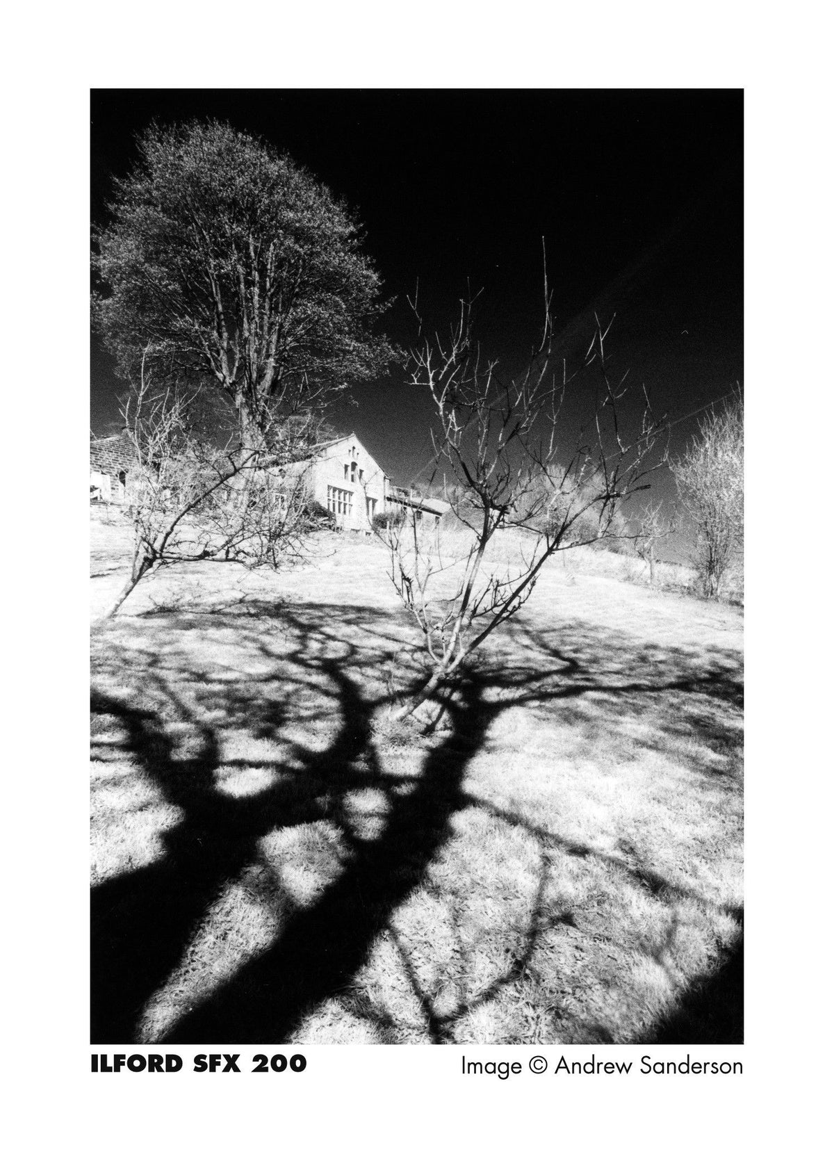 Ilford SFX 200 Black & White Negative Film (35mm, 36 Exposures)