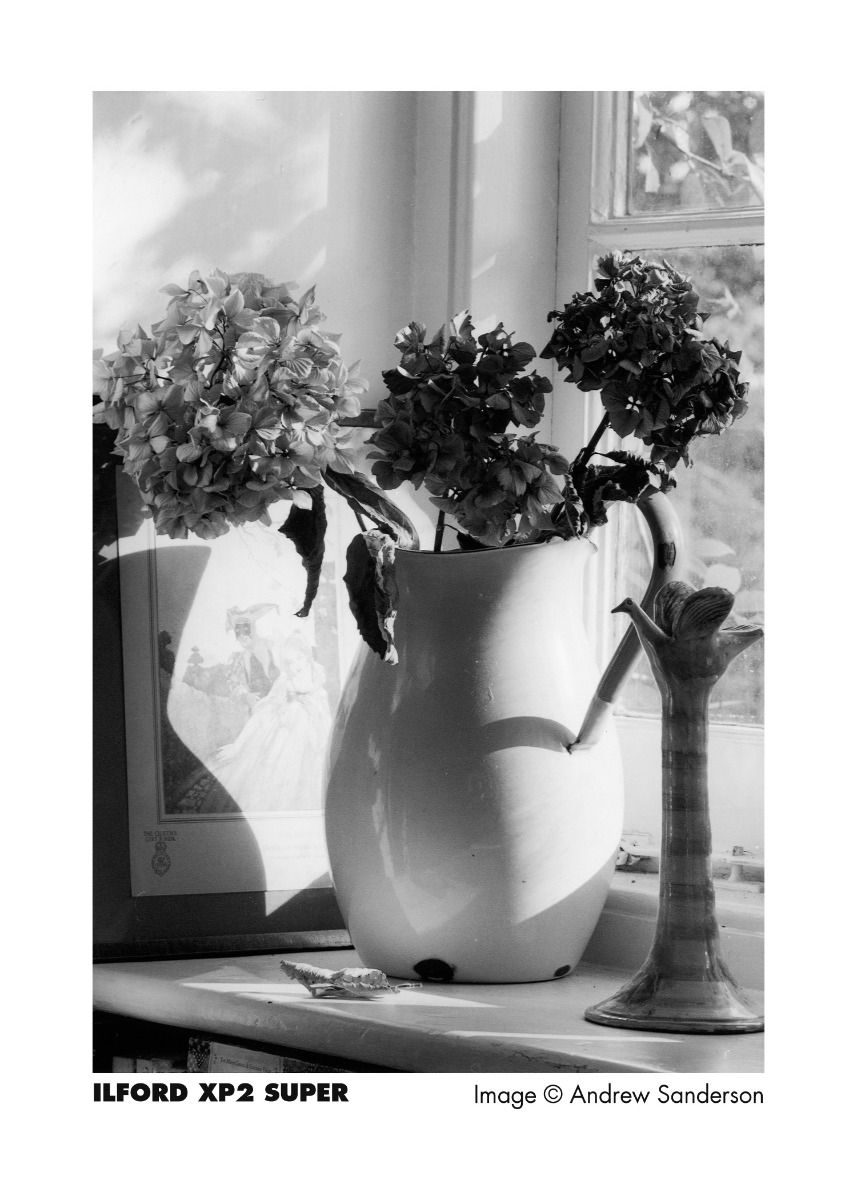 HARMAN technology XP2 Super B&W Single-Use Film Camera with Flash (35mm, 27 Exposures)